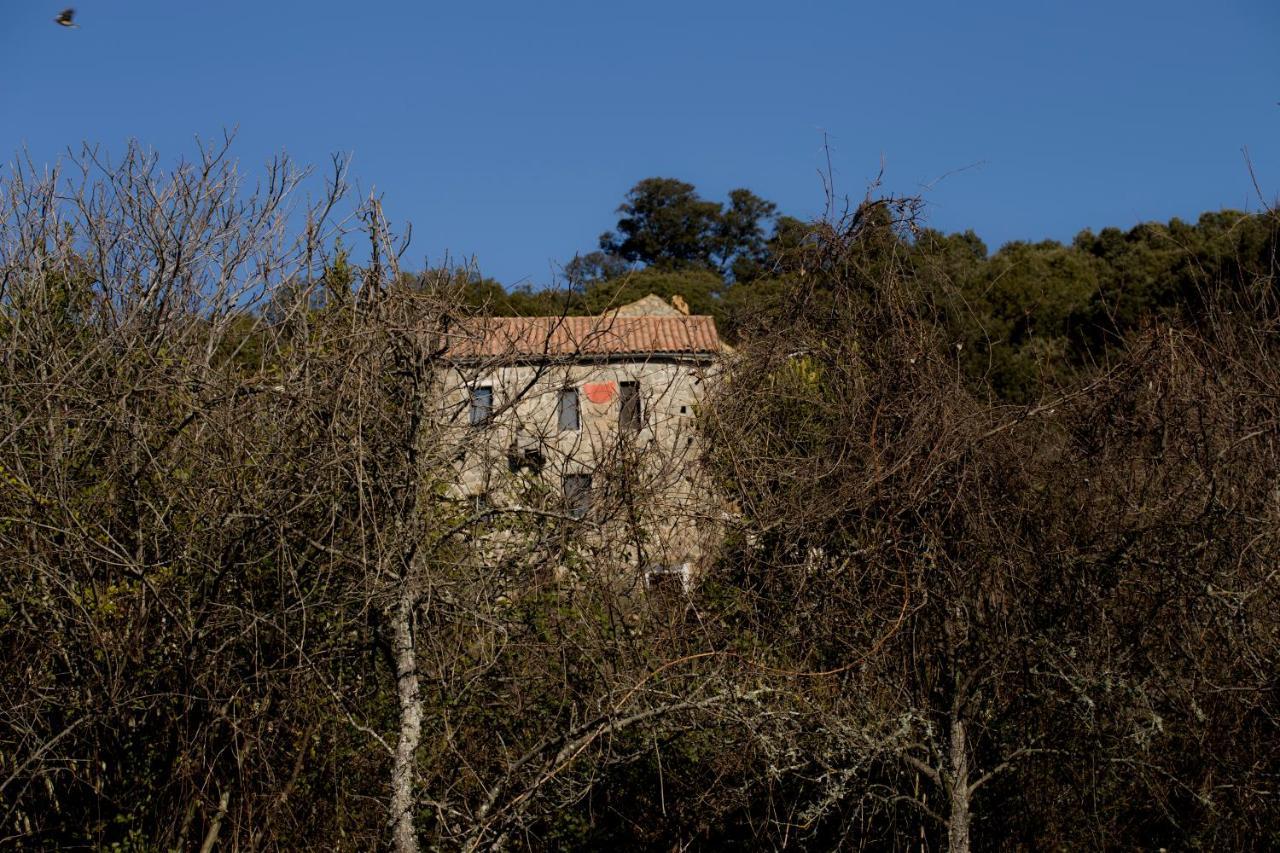 Casa Giacometti Grosseto-Prugna Exterior foto